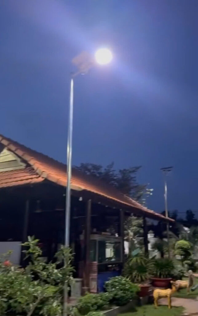 Đèn Năng Lượng Mặt Trời Chiếu Sáng Sân Vườn